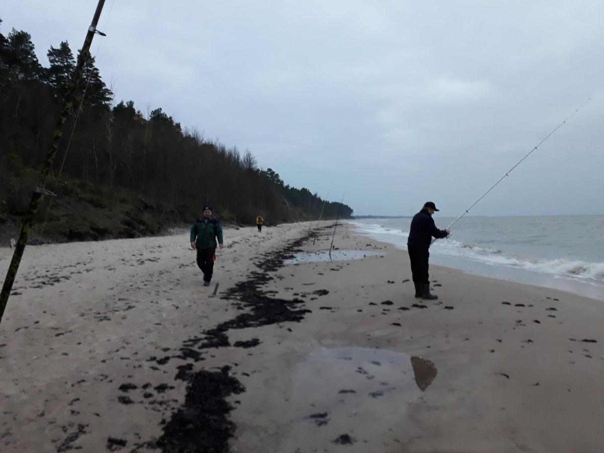 Brivdienu Maja"Ordzinas' Villa Pāvilosta Exteriör bild