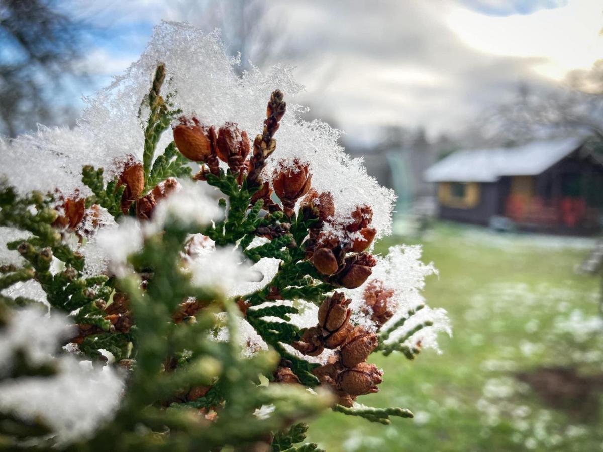 Brivdienu Maja"Ordzinas' Villa Pāvilosta Exteriör bild