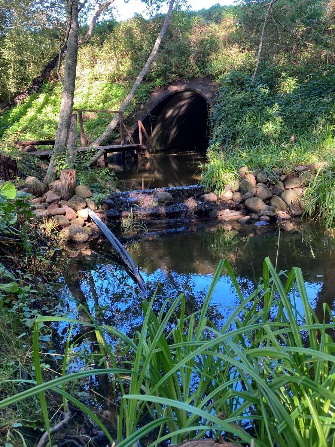 Brivdienu Maja"Ordzinas' Villa Pāvilosta Exteriör bild